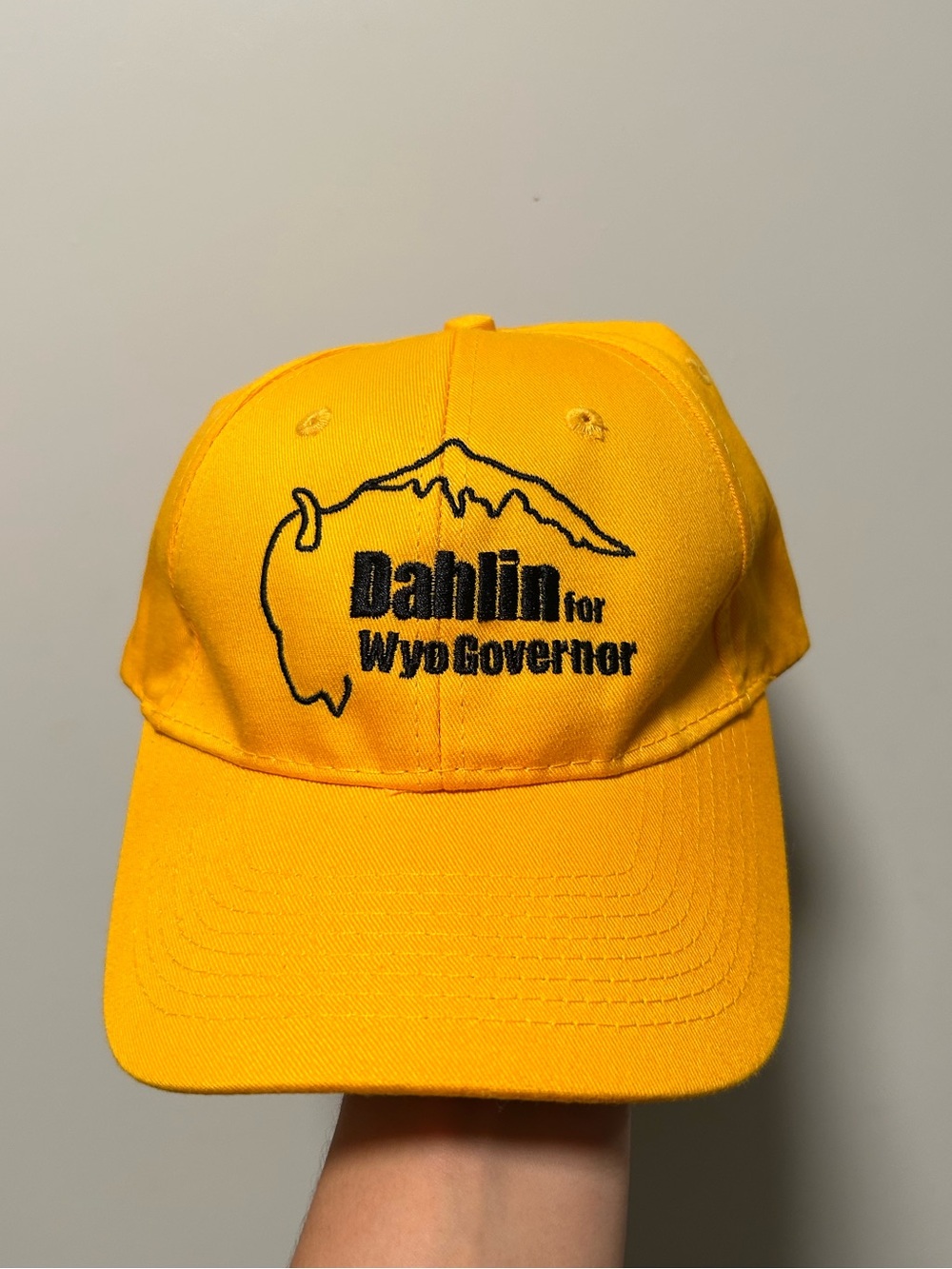 2018 Bill Dahlin Signed Wyoming Governor Campaign Hat